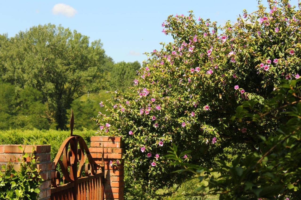 Il Casolare Bed & Breakfast Penna ภายนอก รูปภาพ