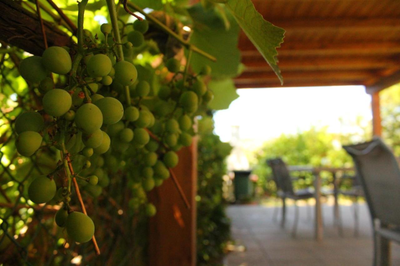 Il Casolare Bed & Breakfast Penna ภายนอก รูปภาพ